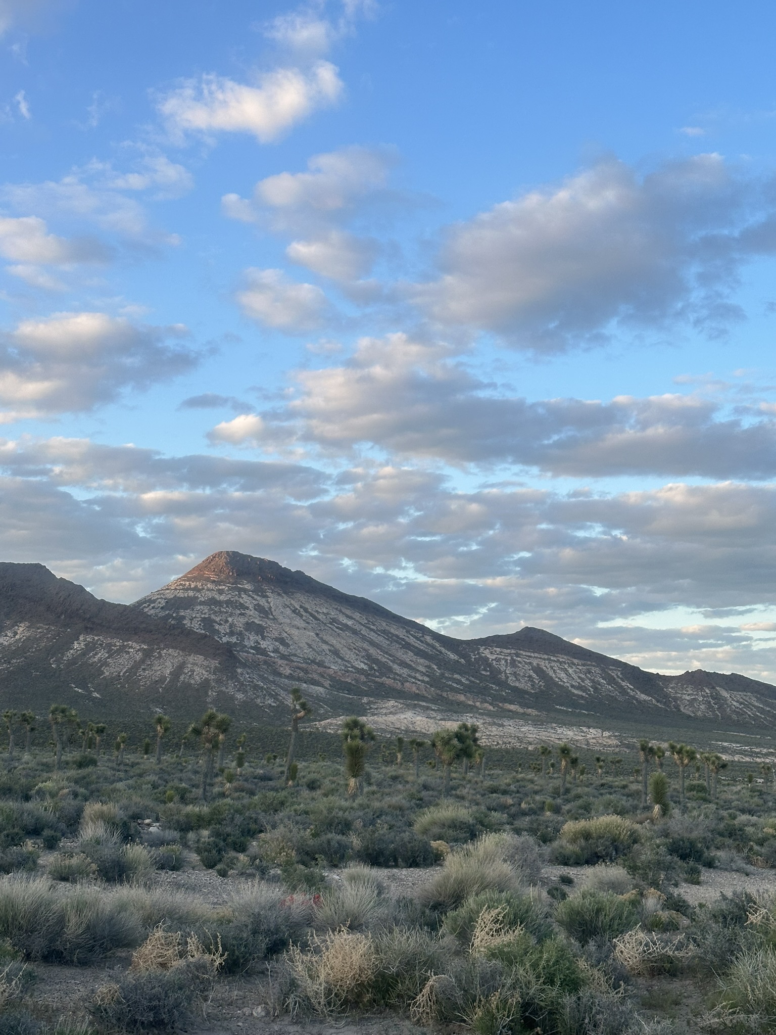 United States-National Parks-Other - Image 1074